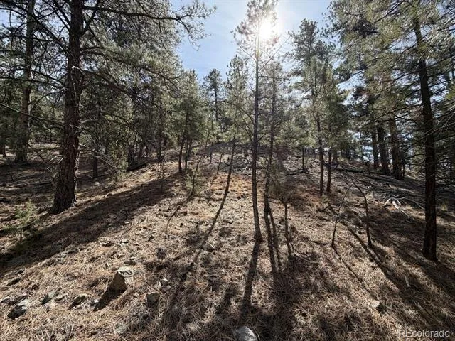 262 Harmon Drive Cotopaxi, CO 81223