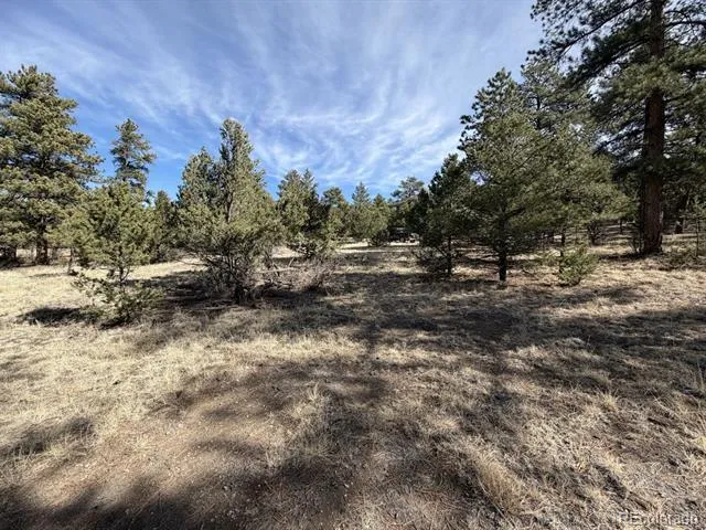 262 Harmon Drive Cotopaxi, CO 81223