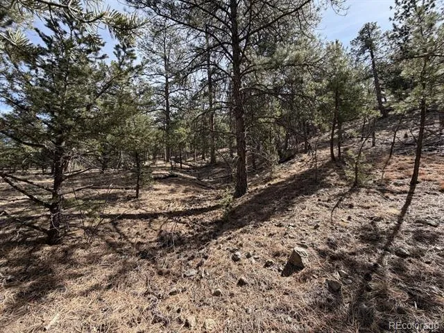 262 Harmon Drive Cotopaxi, CO 81223