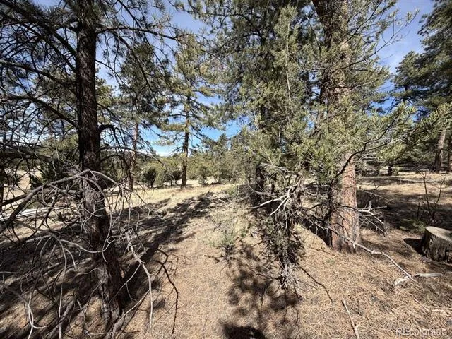 262 Harmon Drive Cotopaxi, CO 81223