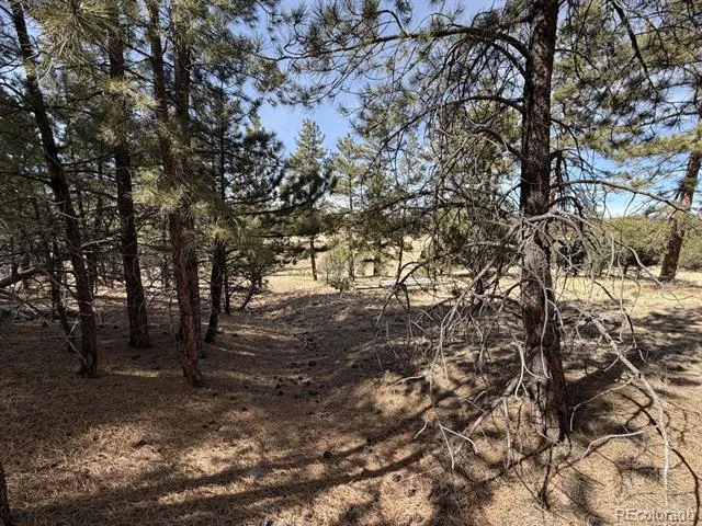 262 Harmon Drive Cotopaxi, CO 81223