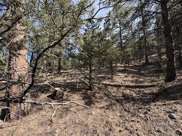 262 Harmon Drive Cotopaxi, CO 81223