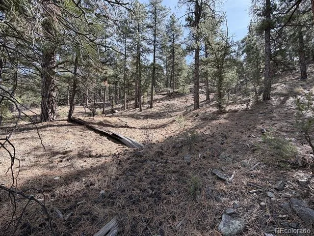 262 Harmon Drive Cotopaxi, CO 81223