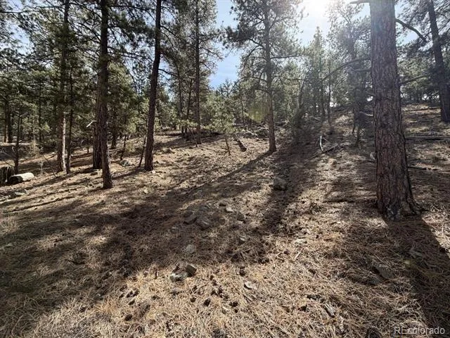262 Harmon Drive Cotopaxi, CO 81223