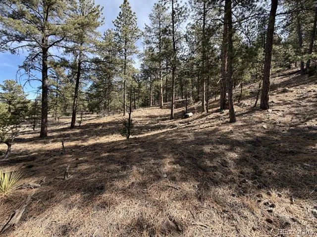 262 Harmon Drive Cotopaxi, CO 81223