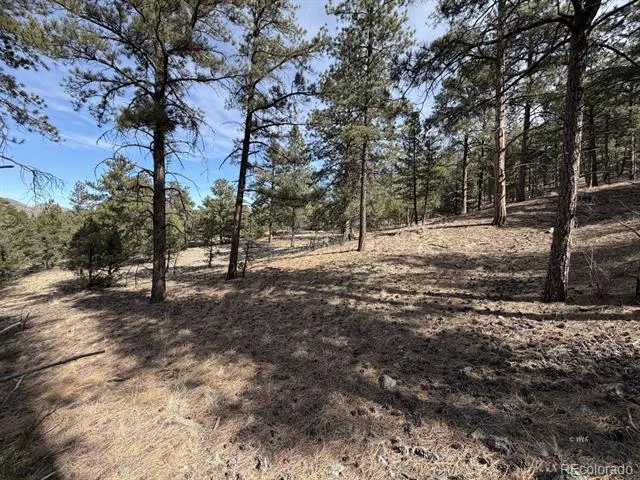 262 Harmon Drive Cotopaxi, CO 81223
