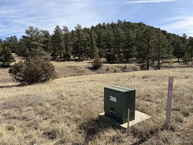 262 Harmon Drive Cotopaxi, CO 81223