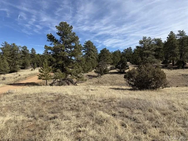 262 Harmon Drive Cotopaxi, CO 81223