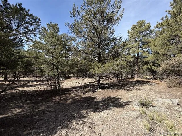 262 Harmon Drive Cotopaxi, CO 81223