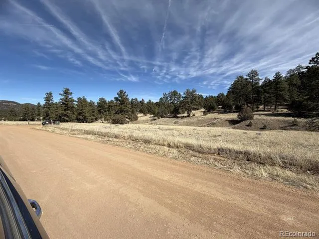 262 Harmon Drive Cotopaxi, CO 81223