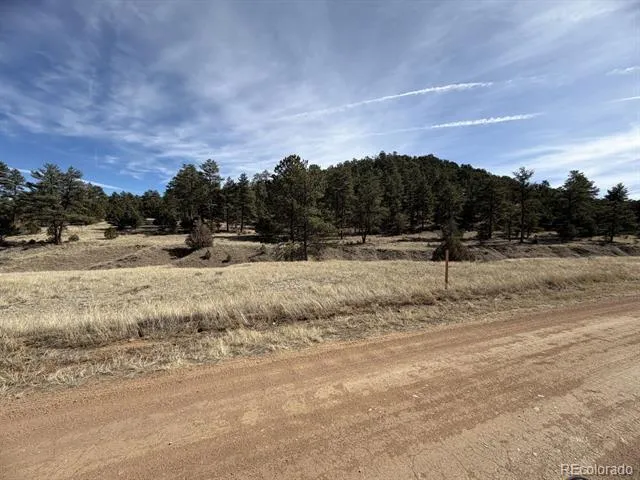 262 Harmon Drive Cotopaxi, CO 81223