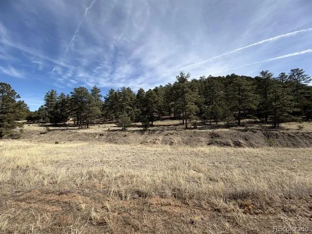 262 Harmon Drive Cotopaxi, CO 81223