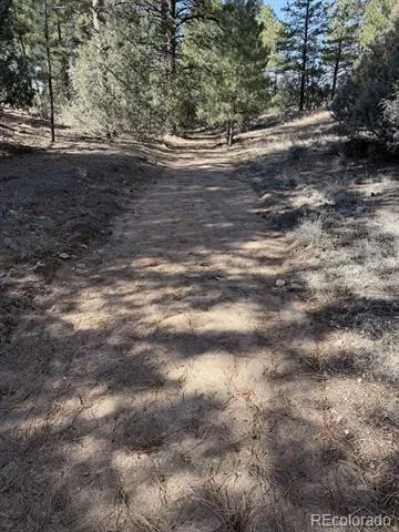 262 Harmon Drive Cotopaxi, CO 81223