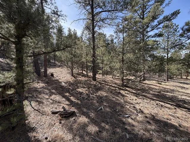 262 Harmon Drive Cotopaxi, CO 81223