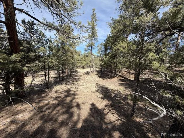 262 Harmon Drive Cotopaxi, CO 81223
