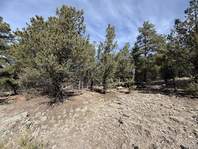 262 Harmon Drive Cotopaxi, CO 81223