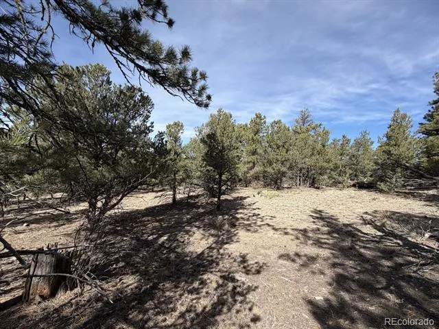 262 Harmon Drive Cotopaxi, CO 81223