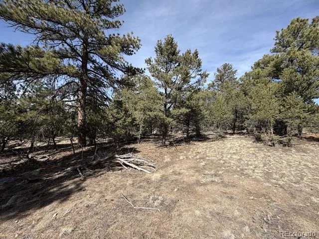 262 Harmon Drive Cotopaxi, CO 81223