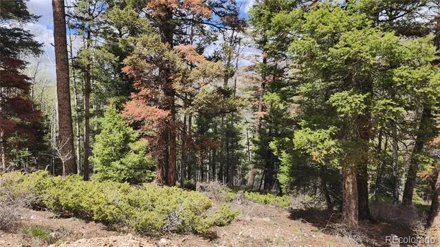 6338 Aragon Road San Luis, CO 81152