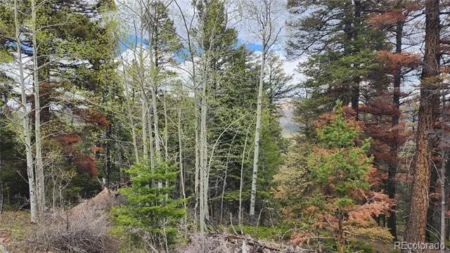 6338 Aragon Road San Luis, CO 81152