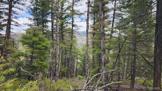 6338 Aragon Road San Luis, CO 81152