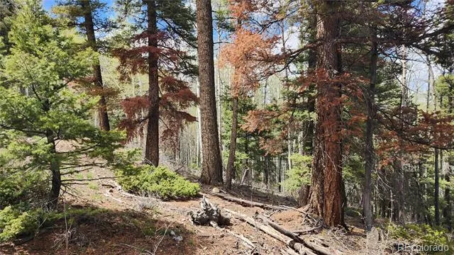 6338 Aragon Road San Luis, CO 81152