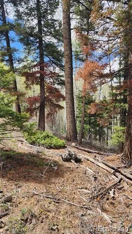 6338 Aragon Road San Luis, CO 81152