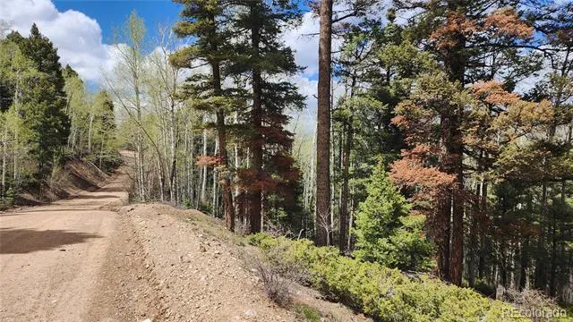 6338 Aragon Road San Luis, CO 81152