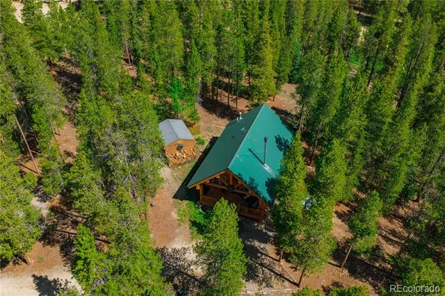 324 Ski Doo Road Fairplay, CO 80440