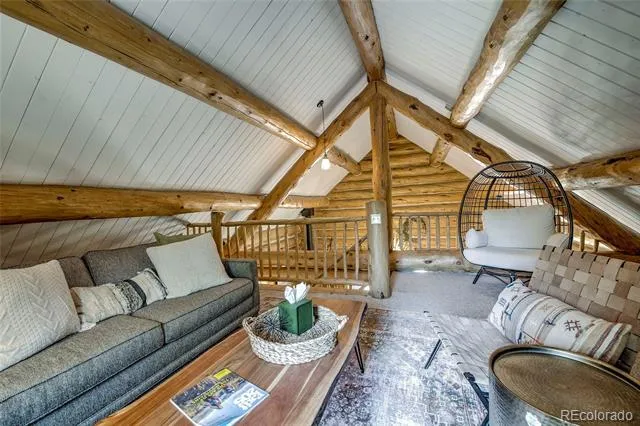 324 Ski Doo Road Fairplay, CO 80440