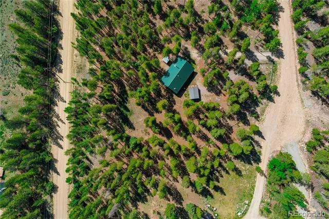 324 Ski Doo Road Fairplay, CO 80440