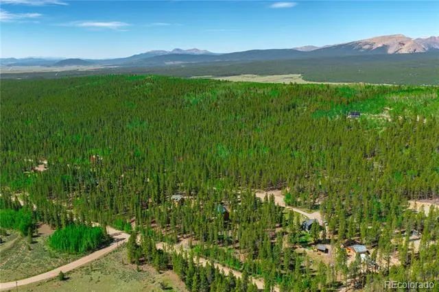 324 Ski Doo Road Fairplay, CO 80440