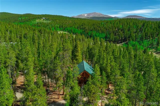 324 Ski Doo Road Fairplay, CO 80440