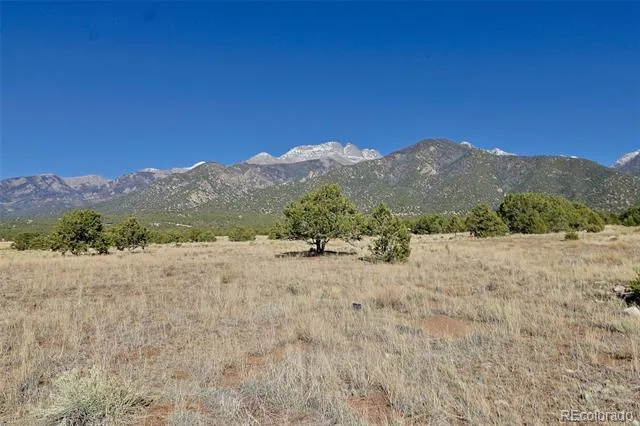 3402 Camino Del Rey Crestone, CO 81131