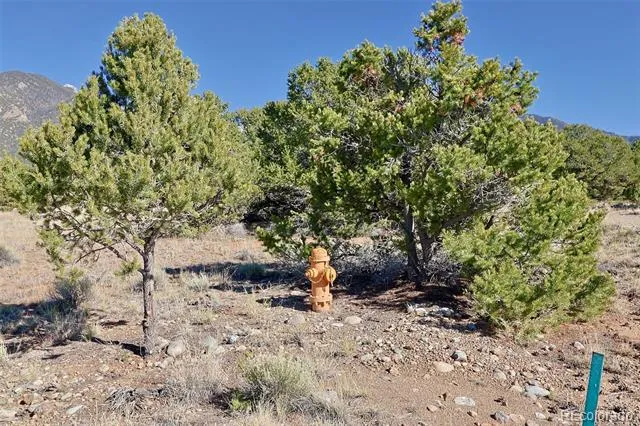 3402 Camino Del Rey Crestone, CO 81131