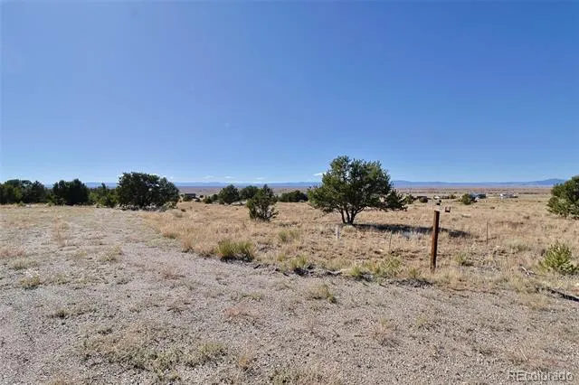 3402 Camino Del Rey Crestone, CO 81131