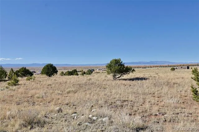 3402 Camino Del Rey Crestone, CO 81131
