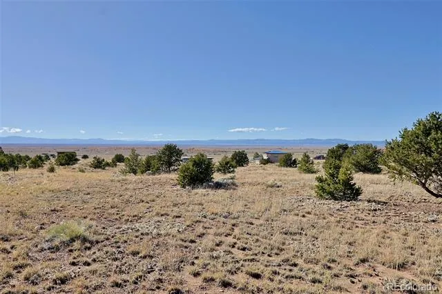 3402 Camino Del Rey Crestone, CO 81131