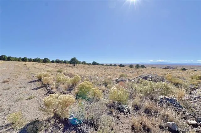 3402 Camino Del Rey Crestone, CO 81131