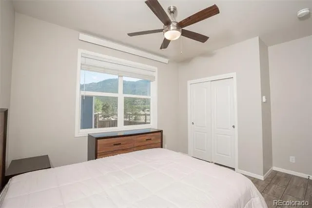 296 Barnwood Drive Buena Vista, CO 81211