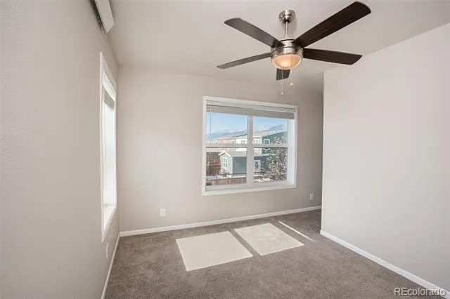 296 Barnwood Drive Buena Vista, CO 81211