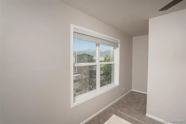 296 Barnwood Drive Buena Vista, CO 81211