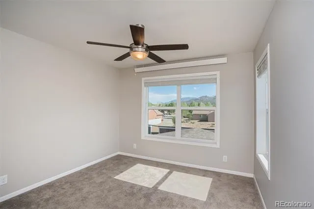 296 Barnwood Drive Buena Vista, CO 81211