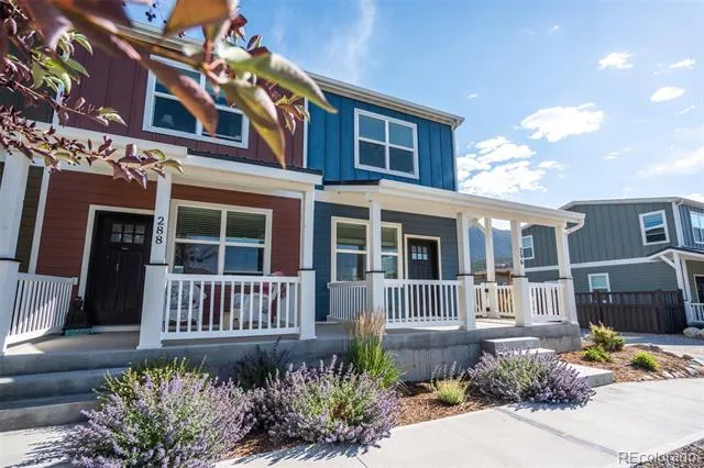 296 Barnwood Drive Buena Vista, CO 81211