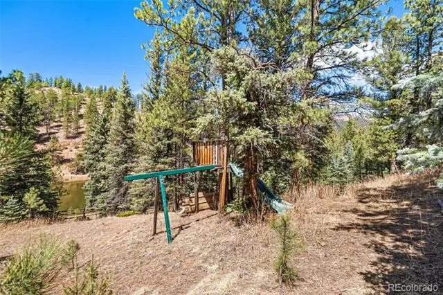 33769 Myrna Court Pine, CO 80470