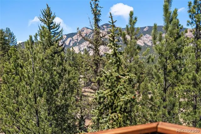 33769 Myrna Court Pine, CO 80470