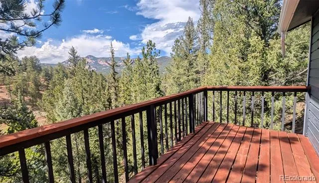 33769 Myrna Court Pine, CO 80470