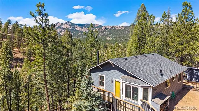33769 Myrna Court Pine, CO 80470