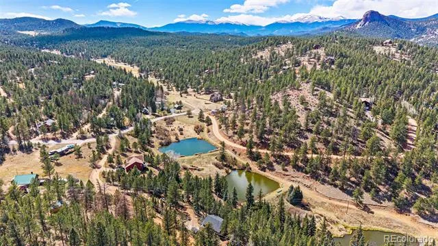 33769 Myrna Court Pine, CO 80470