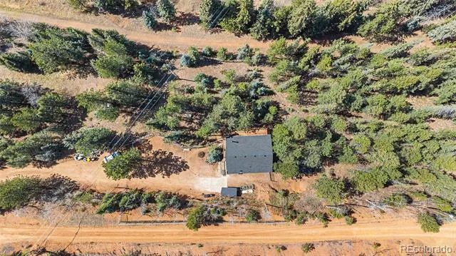 33769 Myrna Court Pine, CO 80470